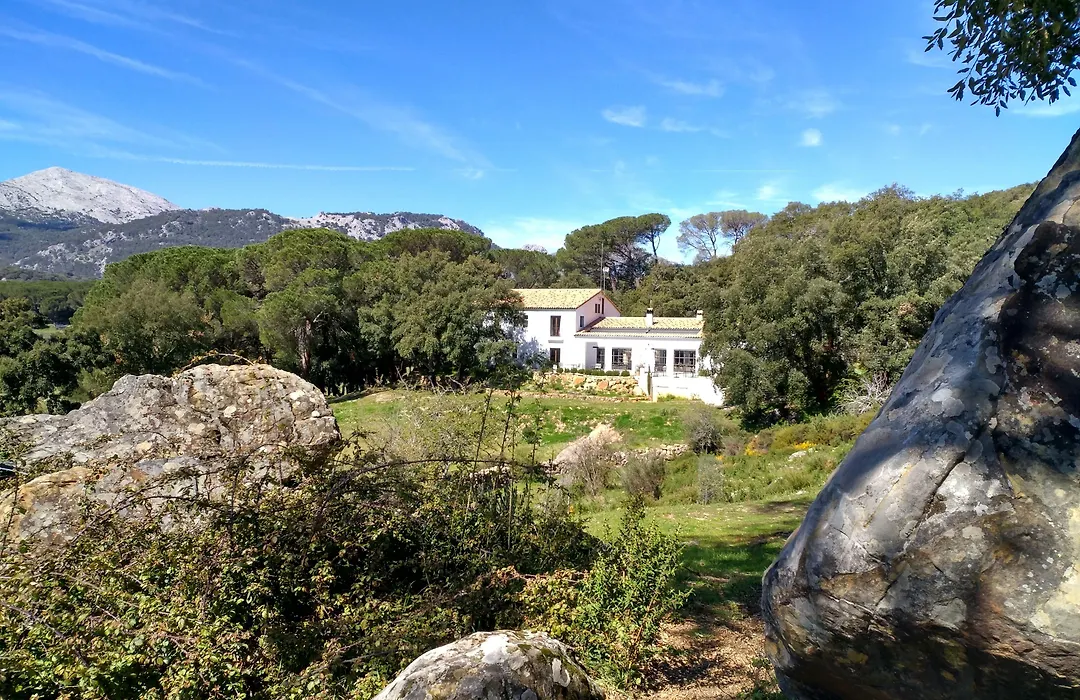 Tambor Del Llano-1
