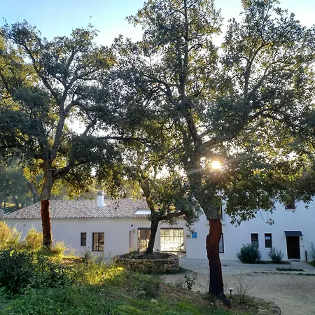Tambor Del Llano-3